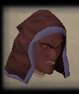 File:Dark squall chathead.png