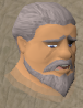 File:Runvastr chathead.png