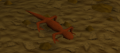 File:Salamander.png