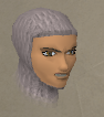 File:Darkmeyer trader chathead.png