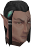 File:Morvran chat.png