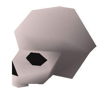 File:Right skull half detail.png