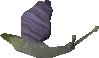 File:Bruise Blamish Snail old.png