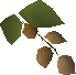 File:Krandorian hops detail.png