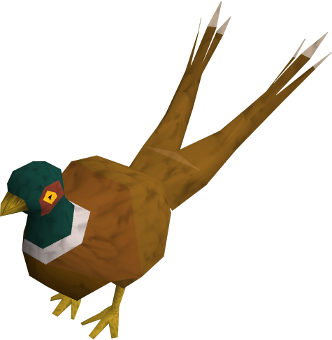 File:Pheasant2tail.png