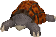 File:War tortoise.png
