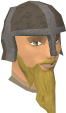 File:Einar chathead.png