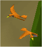 File:Golden warblers.png
