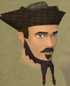 File:Sir Tendeth chathead.png