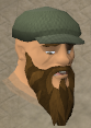 File:Sune chathead.png