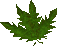 Thumbnail for version as of 23:15, 8 January 2024