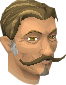 File:Herald of Falador chathead.png