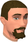 File:Polmafi Ferdygris chathead.png