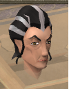 File:Abbess benita chathead.png