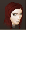 File:Female hair long braids.png