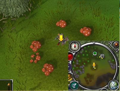 File:Ring of mushrooms.png