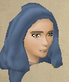 File:Survival expert chathead.png