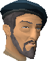 File:Artisan chathead.png