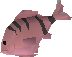 File:Cavefish detail.png