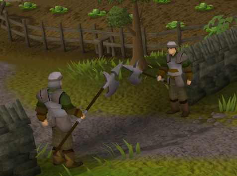 File:Starterarea guards.png