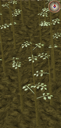 File:Jute2.png