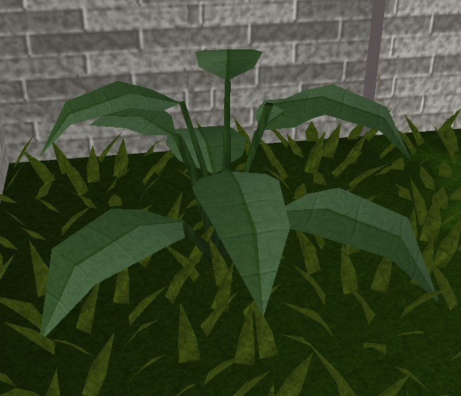 File:Large leaf bush.png