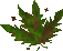 Thumbnail for version as of 23:41, 8 January 2024