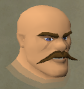 File:White Chisel secretary chathead.png