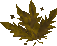 Thumbnail for version as of 23:17, 8 January 2024