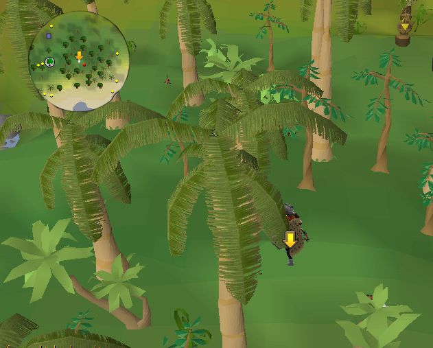 File:Kharazi Jungle south of totem pole.png