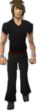 File:Reinald's Smithing Emporium Silver bangles.png
