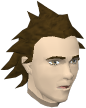 File:Wiskit chathead.png