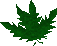 Thumbnail for version as of 23:37, 8 January 2024