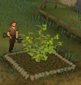 File:Jangerberry9.png