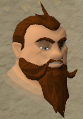 File:Nulodion chathead.png