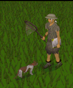 File:Pet Cat.gif
