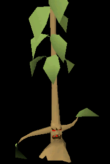 File:Teaktreeent.png