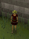 File:Enchant bolts.gif
