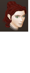 File:Female hair princess.png