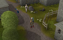 File:Seers' Village Achievement Diary.jpg