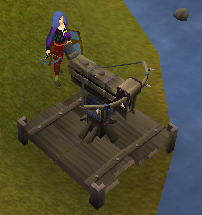 File:Ballista Set up.png