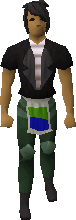 File:Adamant platelegs (h2) equipped old.png