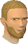 File:Frodi head.png