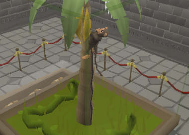 File:Monkey display.png