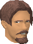File:Mr Pinsworth chathead.png