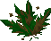 Thumbnail for version as of 23:43, 8 January 2024