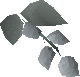 File:Kelda hops detail.png