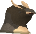 File:Brown penguin chick chathead.png