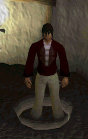 File:Chaos transporter old.gif