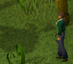 File:Double agent.gif